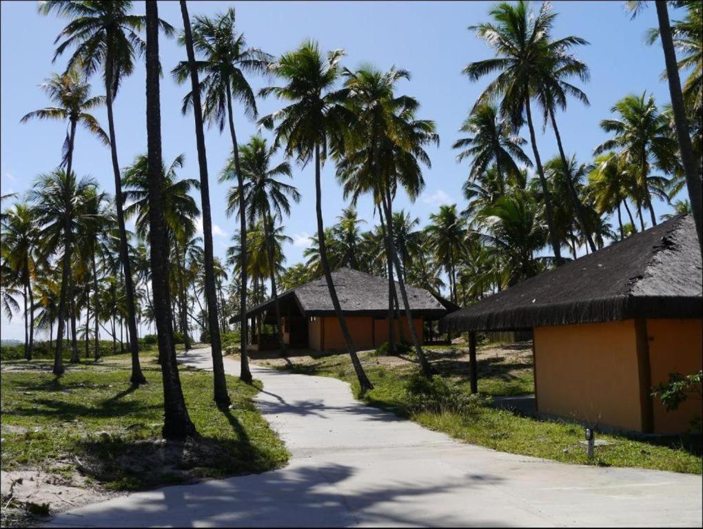 04 suítes na praia de Imbassai Mata de São João Exterior foto